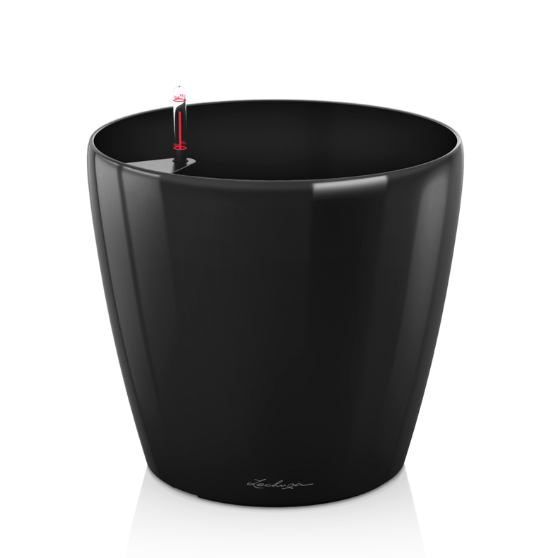 juodas didelis vazonas lechuza