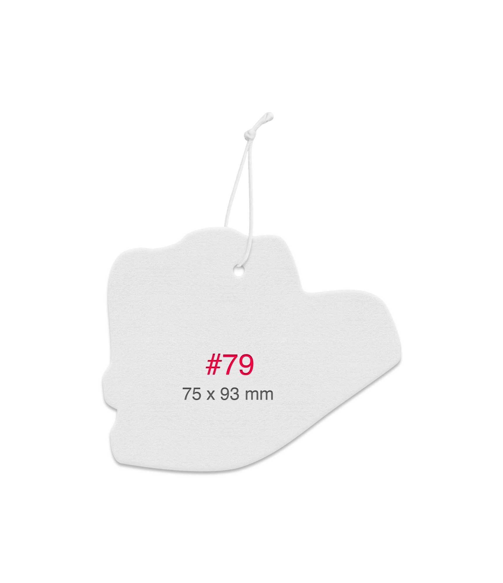 Geriausias automobilio kvapas su logotipu #79