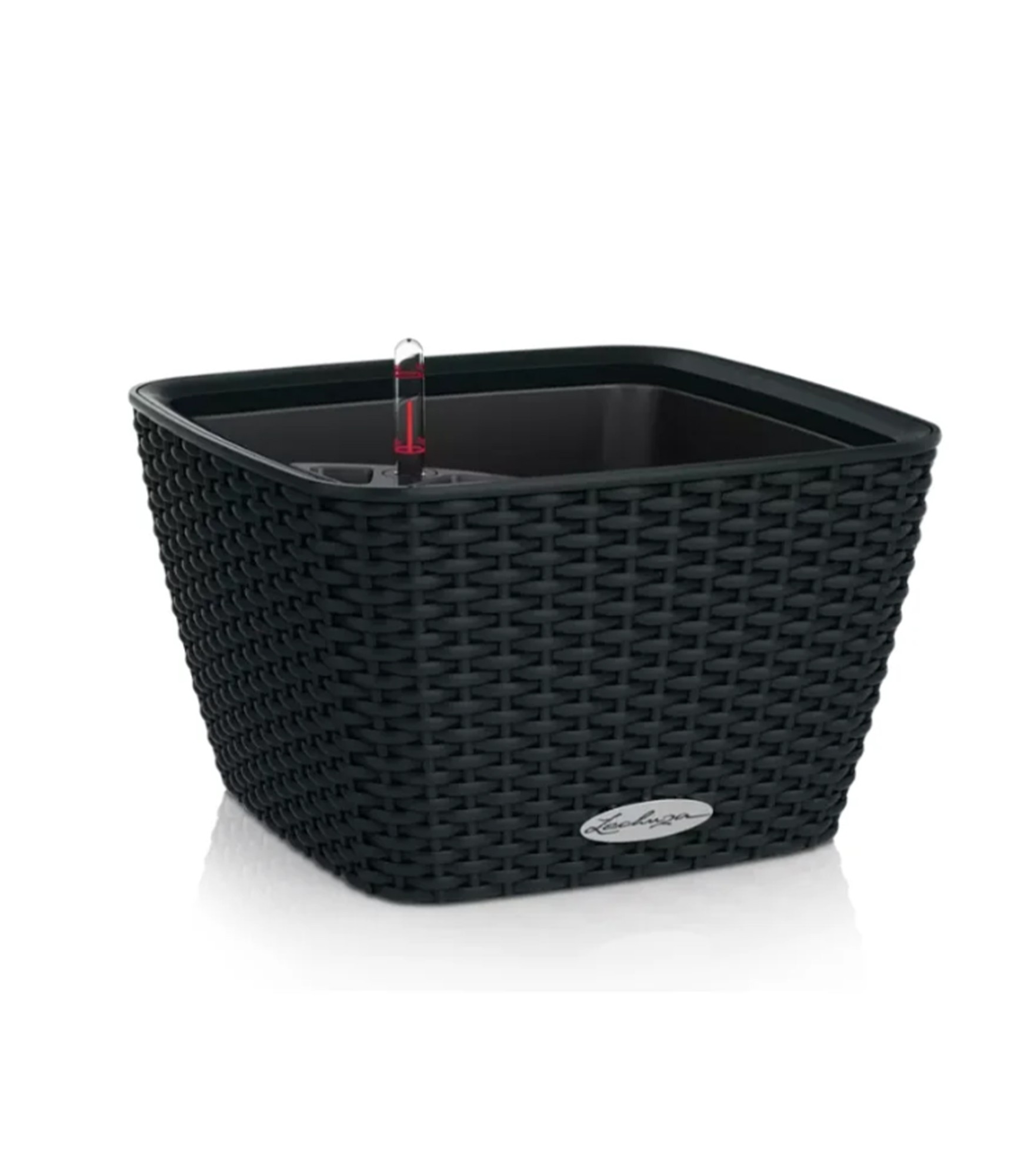 juodas vazonas lechuza bacino