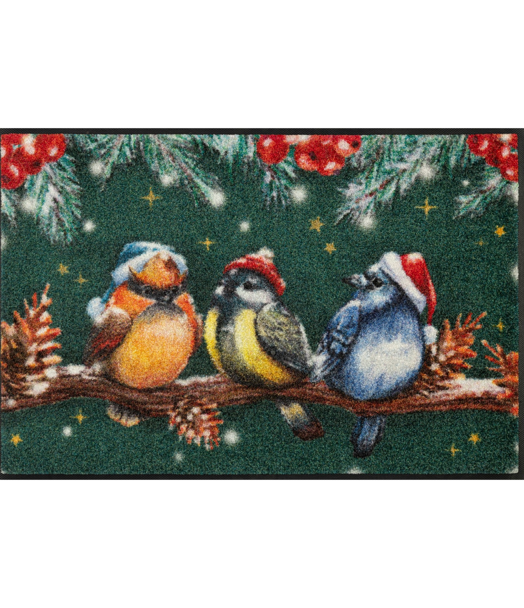 Ziemassvētku durvju paklājs Magic Birds