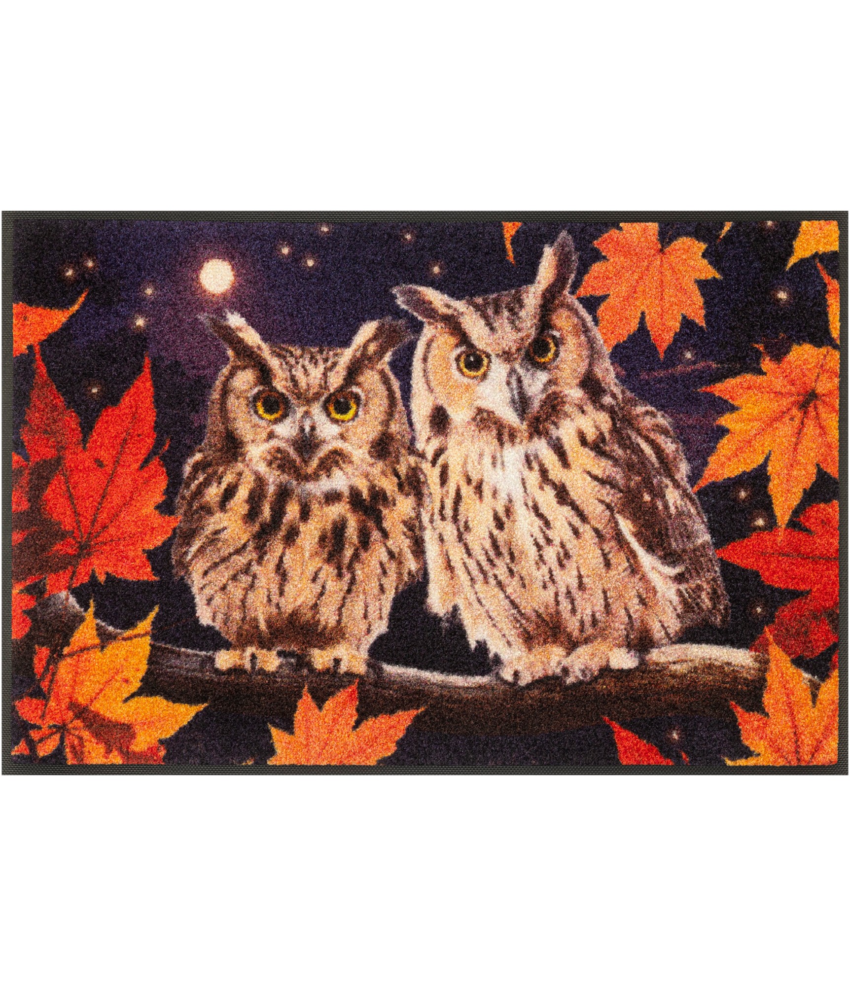 Durvju paklājs ar pūcēm Night Owls