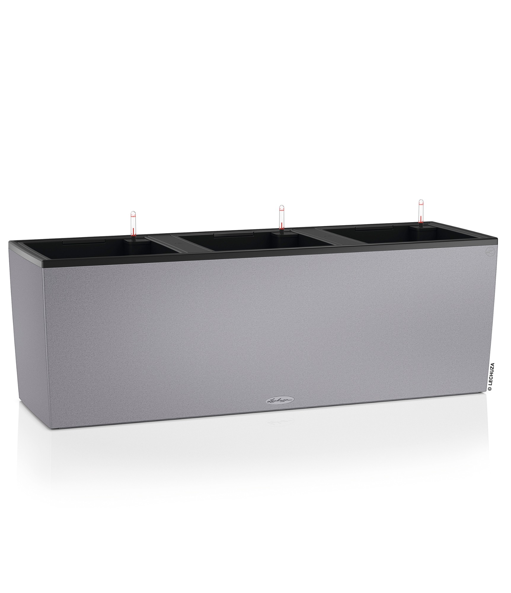 lechuza vazonas pilkas ismanusis